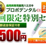 プロポデンタルＥＸ２