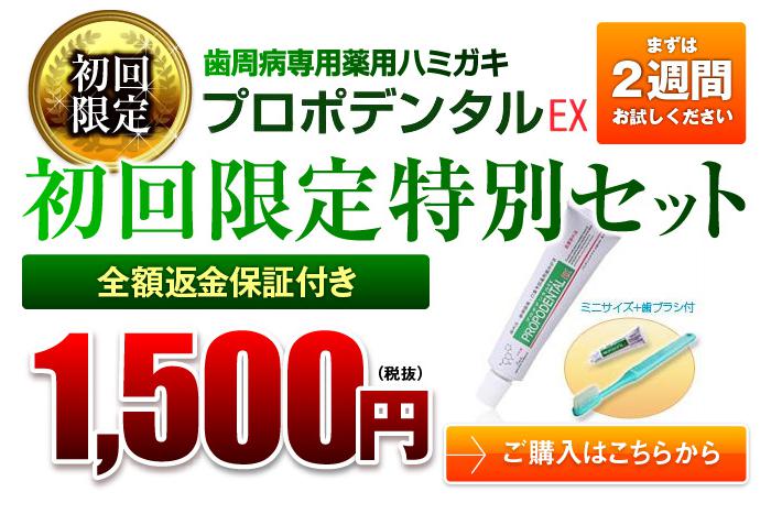 プロポデンタルＥＸ２