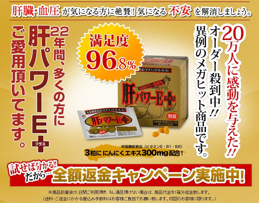 肝パワーＥプラス5日分セット