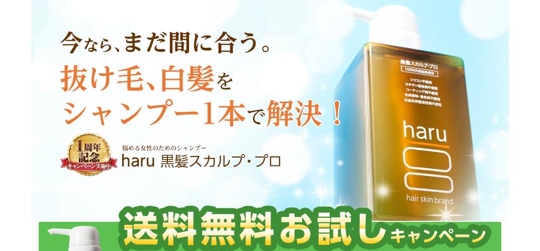 haru 黒髪スカルプ・プロ2