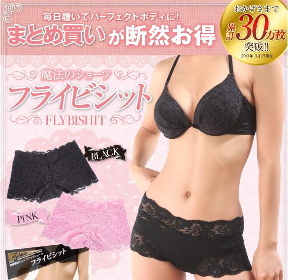 フライビシット