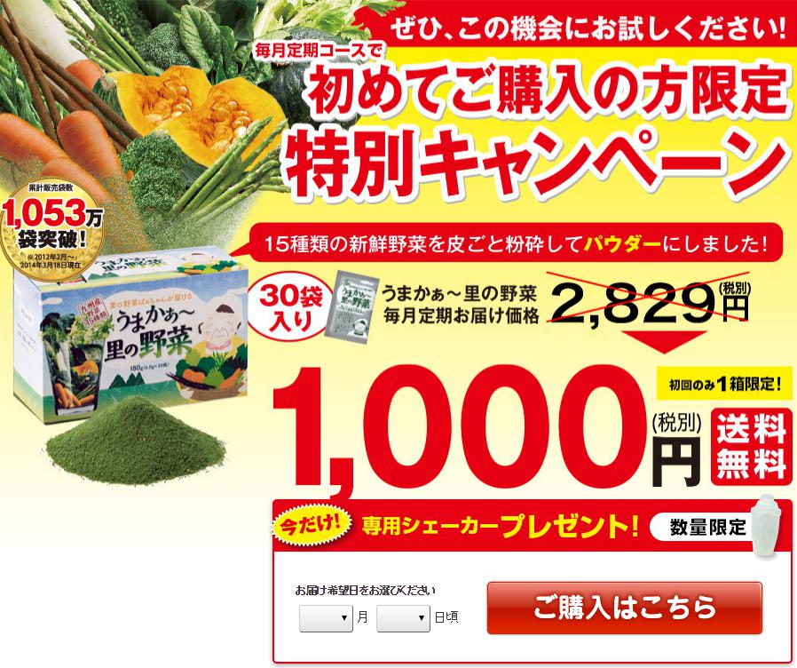 長寿の里 「うまかぁ～里の野菜」