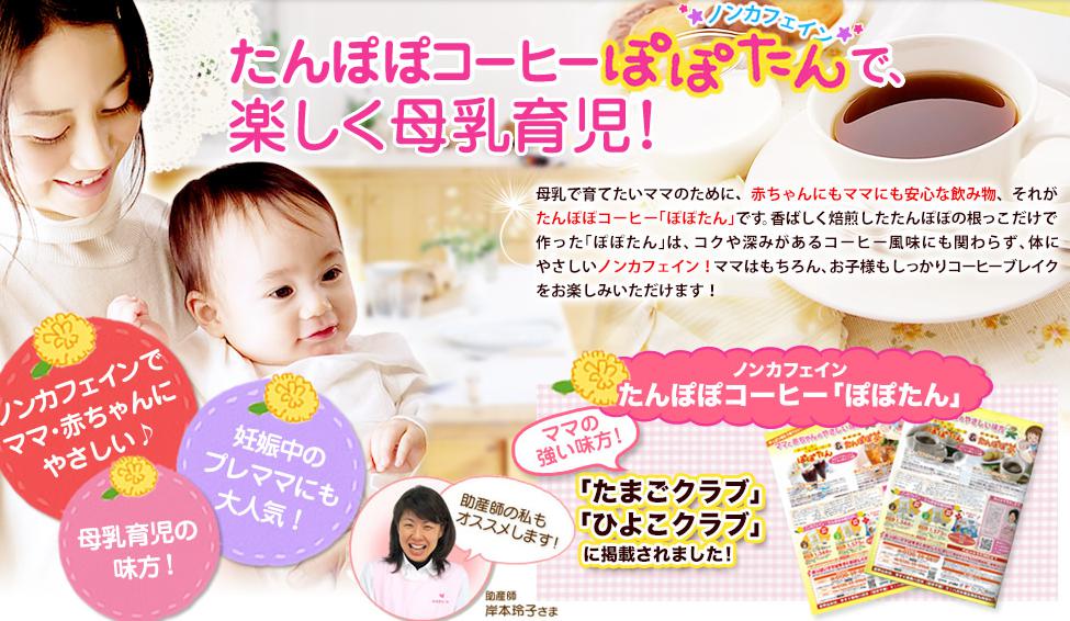 ティーライフ／たんぽぽコーヒー【ぽぽたん】