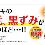 鈴木ハーブ研究所「パイナップル豆乳ローション」