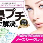 ノーズシークレット