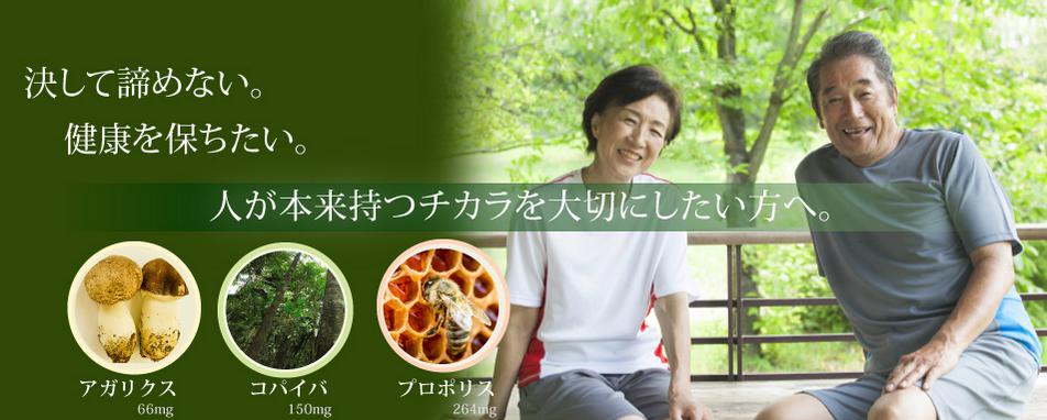 SHINRA（シンラ）