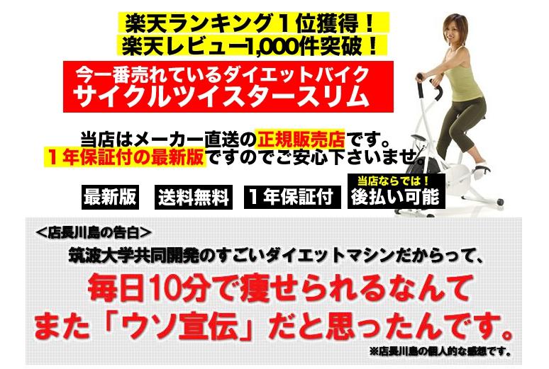 サイクルツイスタースリム