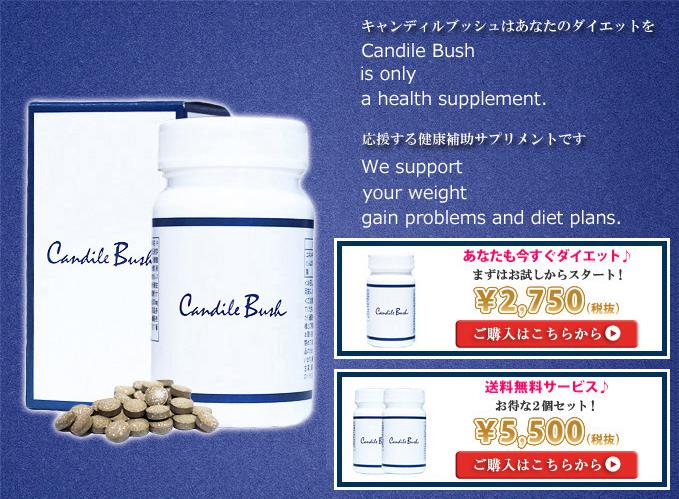 キャンディルブッシュ