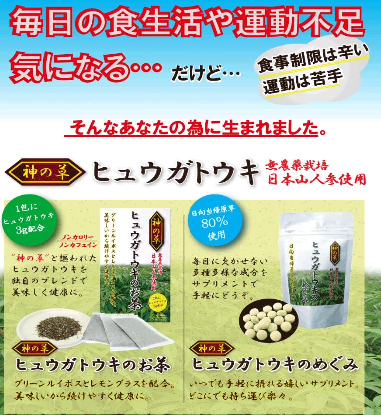 ヒュウガトウキ