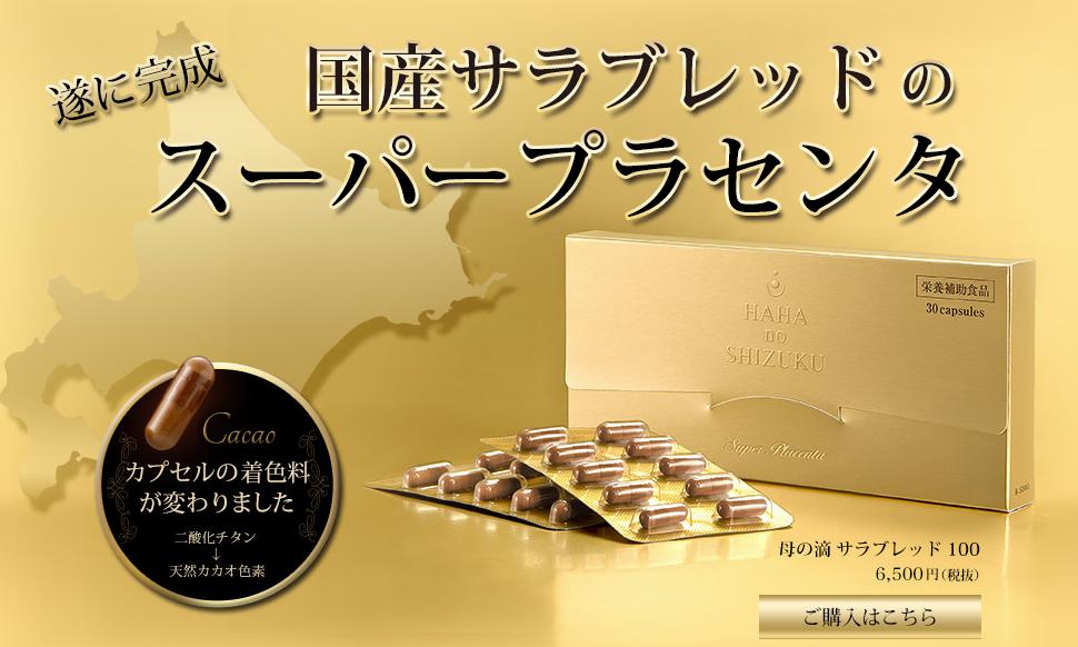 母の滴サラブレッド100